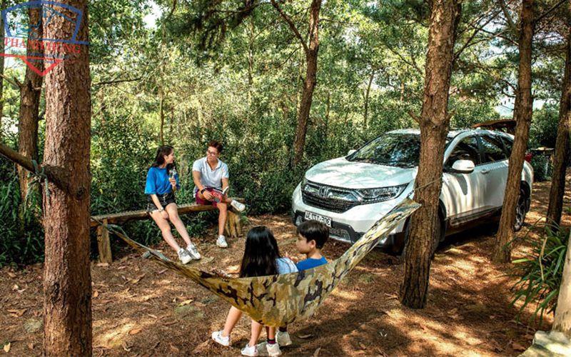 Thuê xe tự lái TPHCM