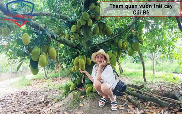 Khu du lịch sinh thái cái bè