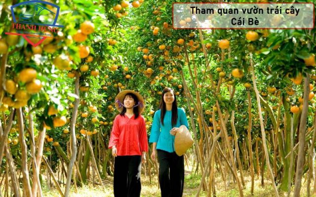 Khu du lịch cái bè