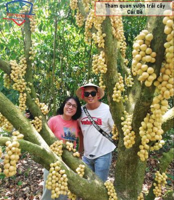 Du lịch Cái bè