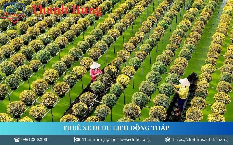 Thuê xe đi Đồng Tháp