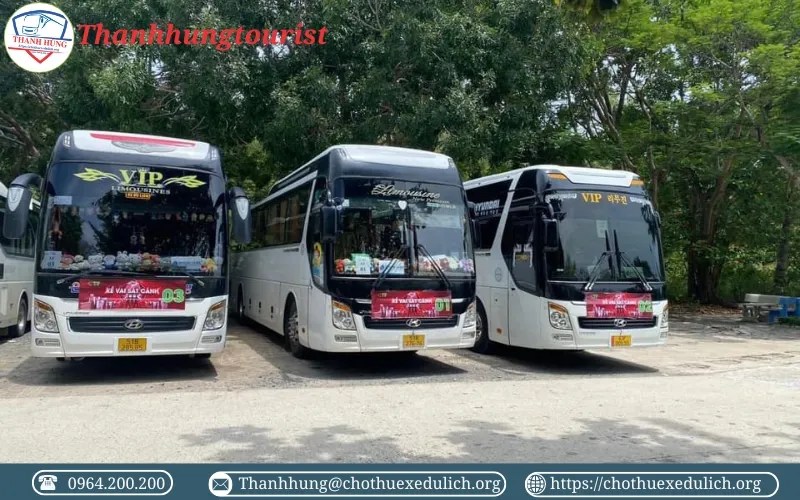 Thuê xe 45 chỗ đi Vũng Tàu tại TPHCM